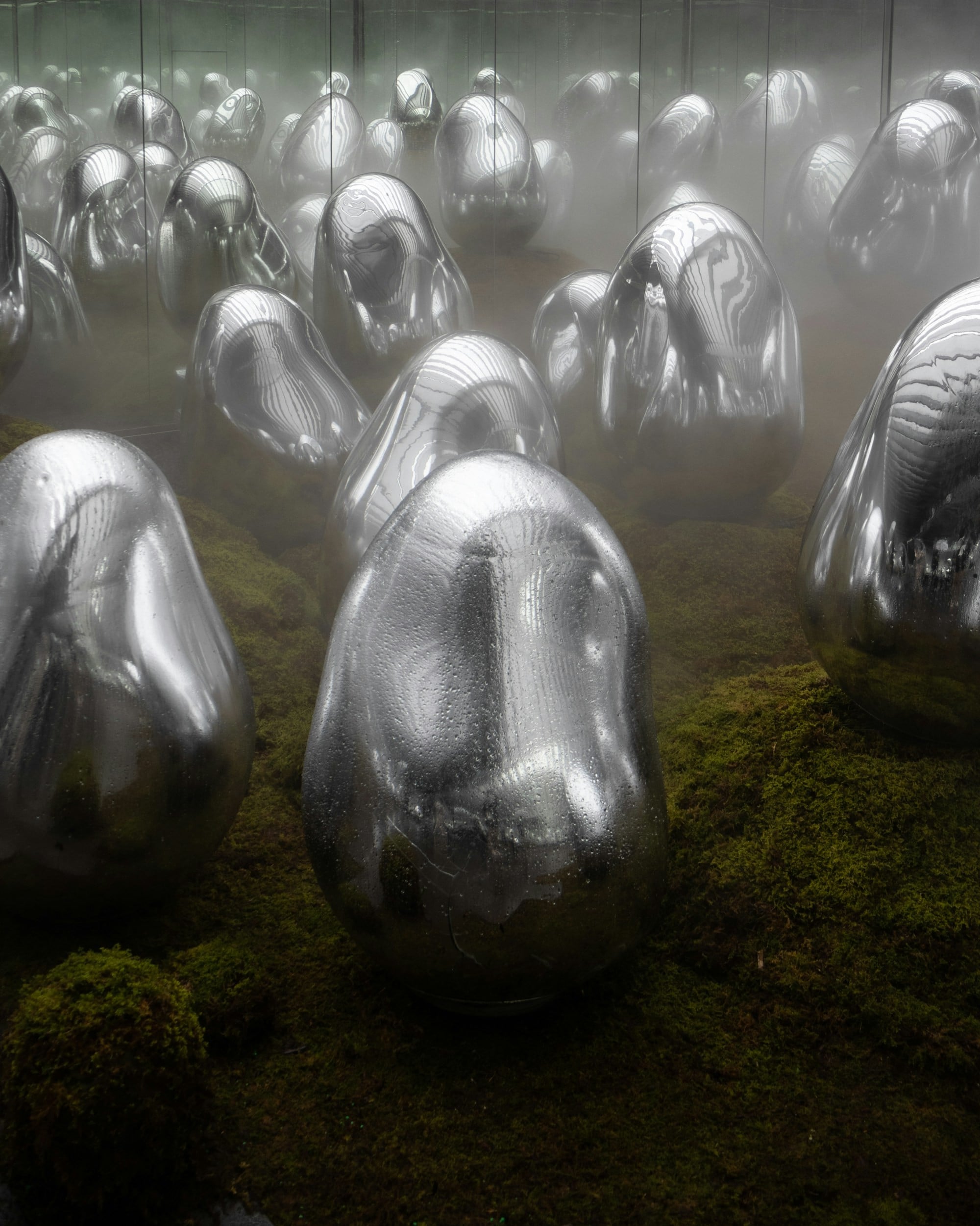 a group of shiny silver balls sitting on top of a moss covered ground